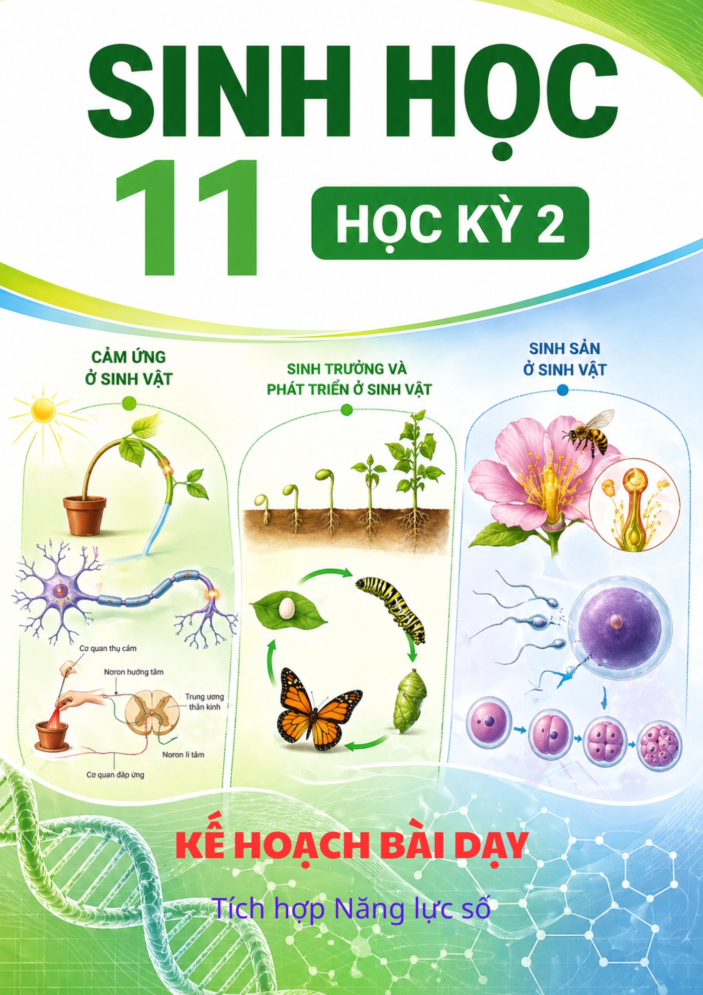 Bìa 🌿 Sinh học 11